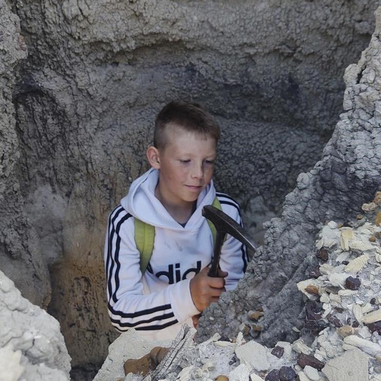 Three boys found a T. rex fossil in North Dakota. Now a Denver museum works to fully reveal it